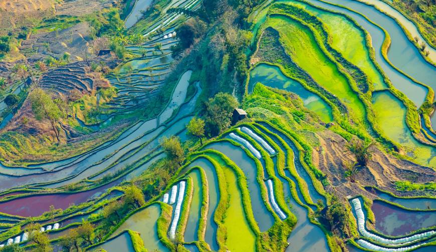 宝妈必备神器：宝山区产品视频拍摄轻松育儿好帮手
